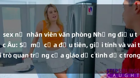sex nữ nhân viên văn phòng Những điều thú vị về sex ở Bắc Âu: Sự mở cửa đầu tiên, giới tính và vai trò quan trọng của giáo dục tình dục trong các quốc gia này.